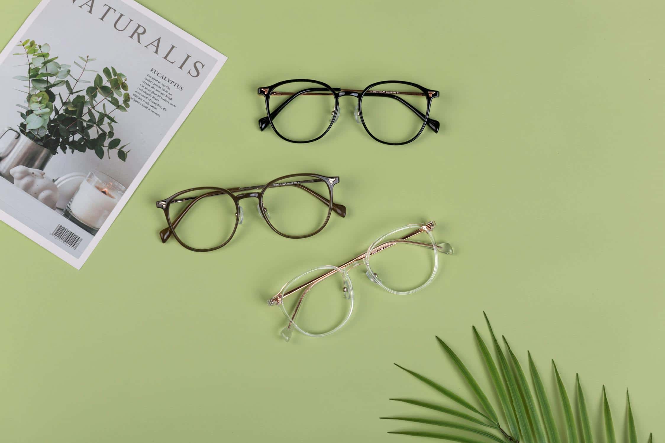 Xu hướng gọng kính titan 2026 với thiết kế nhẹ, thanh lịch và hiện đại